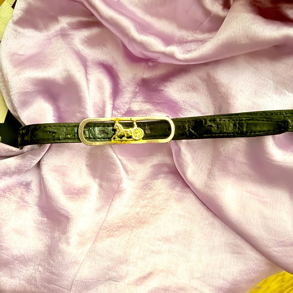Celine elegant Black and Gold Women's crocodile Belt
